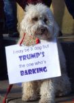 Greater Manchester Against Trump
